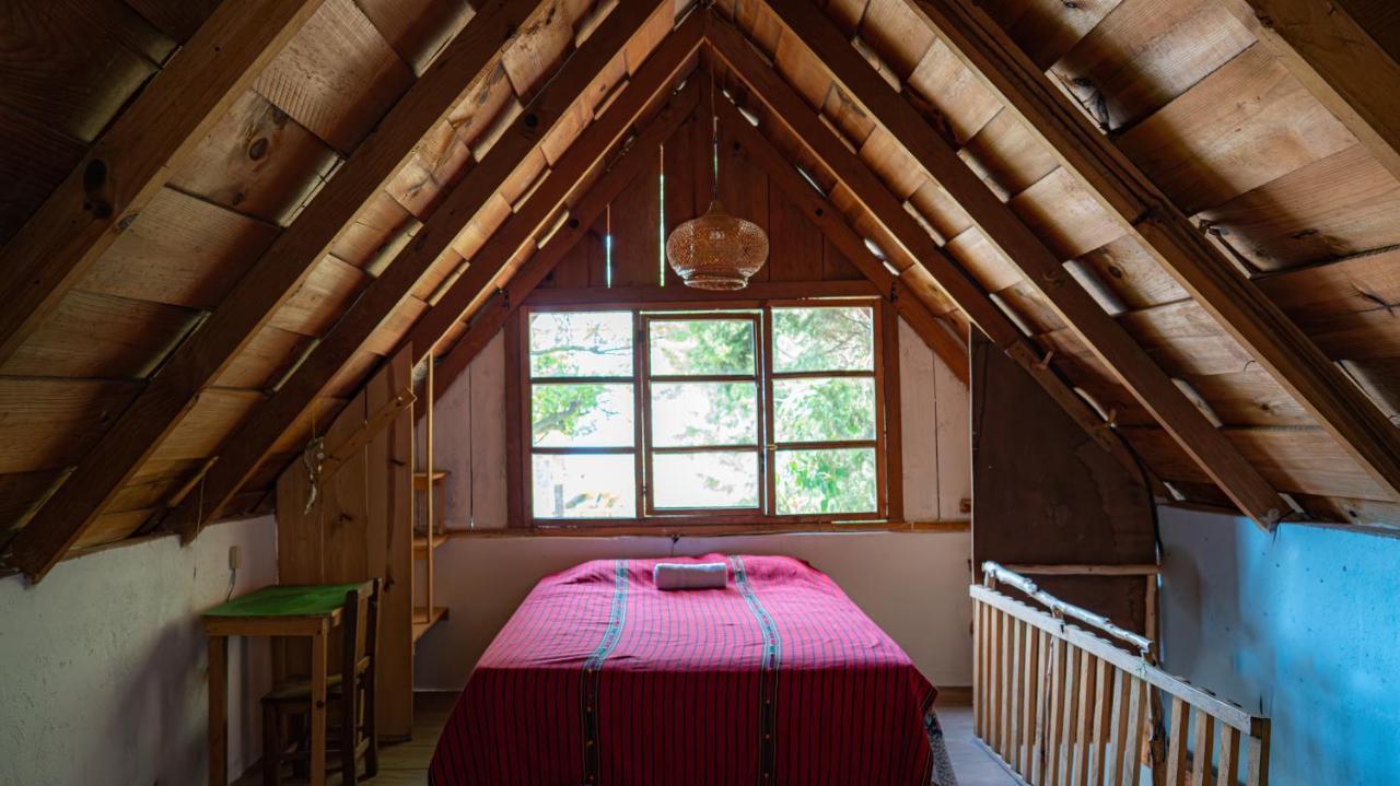 Eden Atitlan Apart otel San Marcos La Laguna Dış mekan fotoğraf